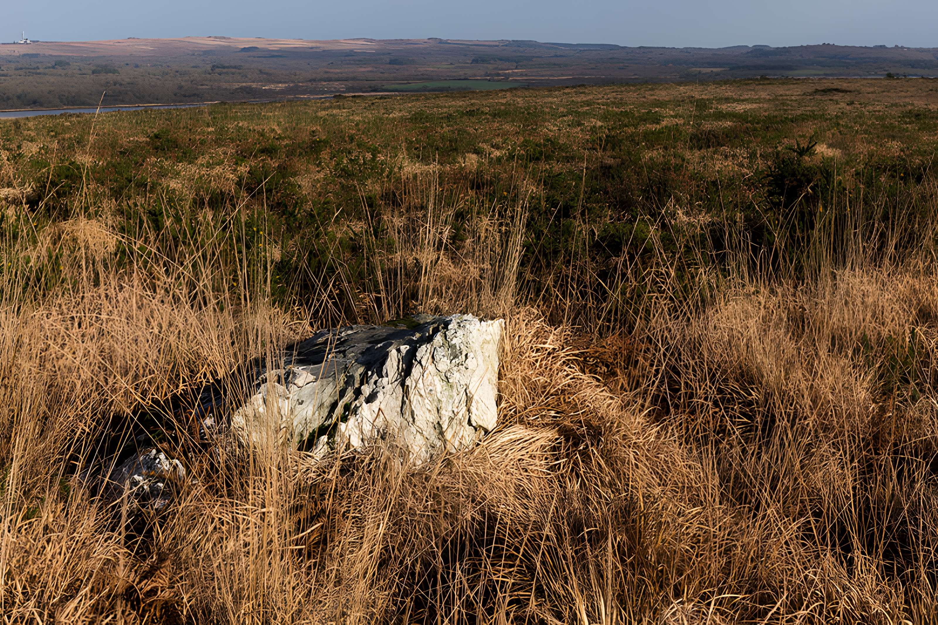 Alignements d'An Eured Veign