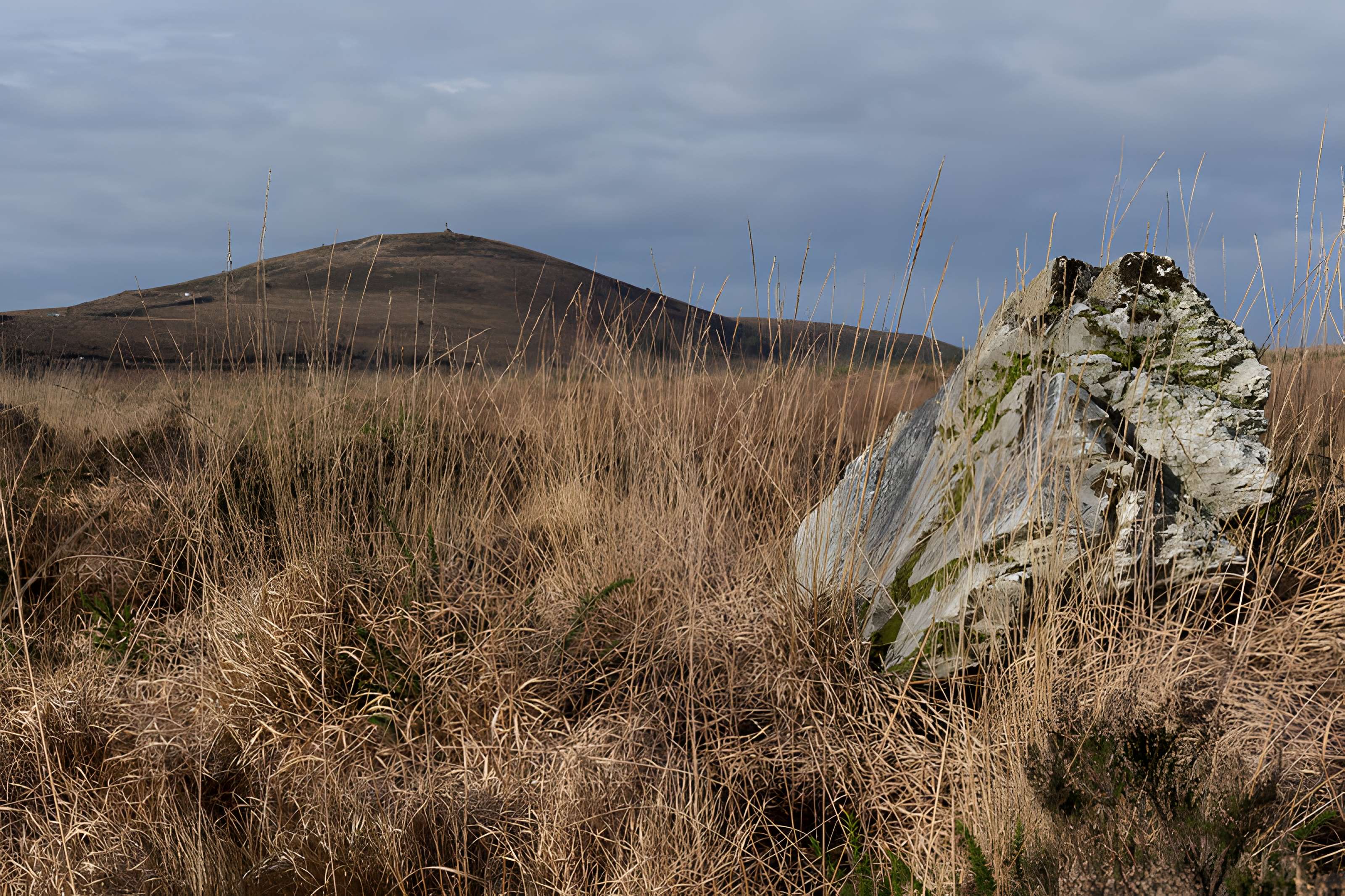 Alignements d'An Eured Veign