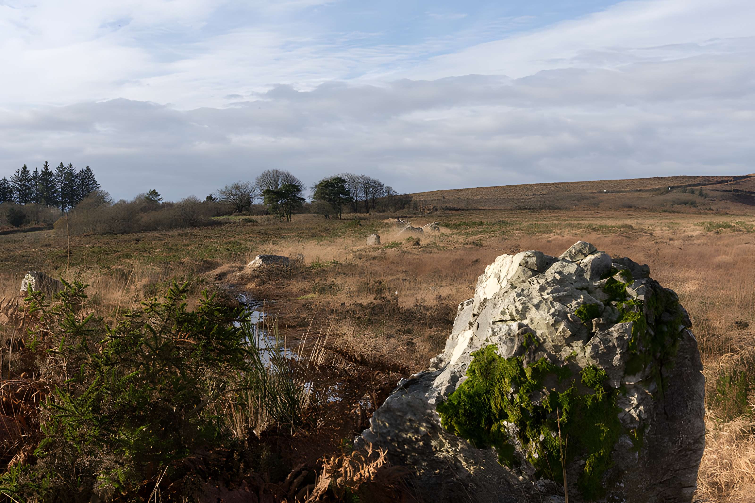 Alignements d'An Eured Veign
