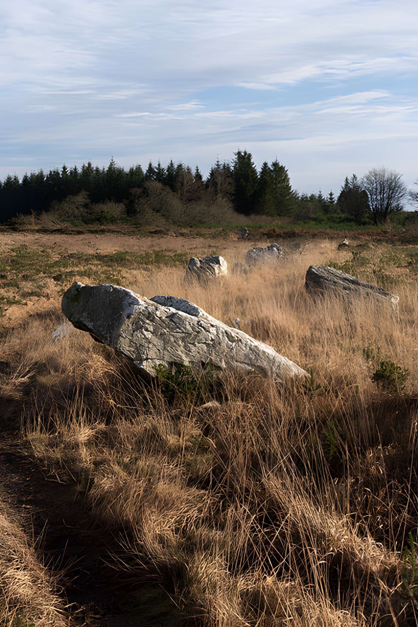 Alignements d'An Eured Veign