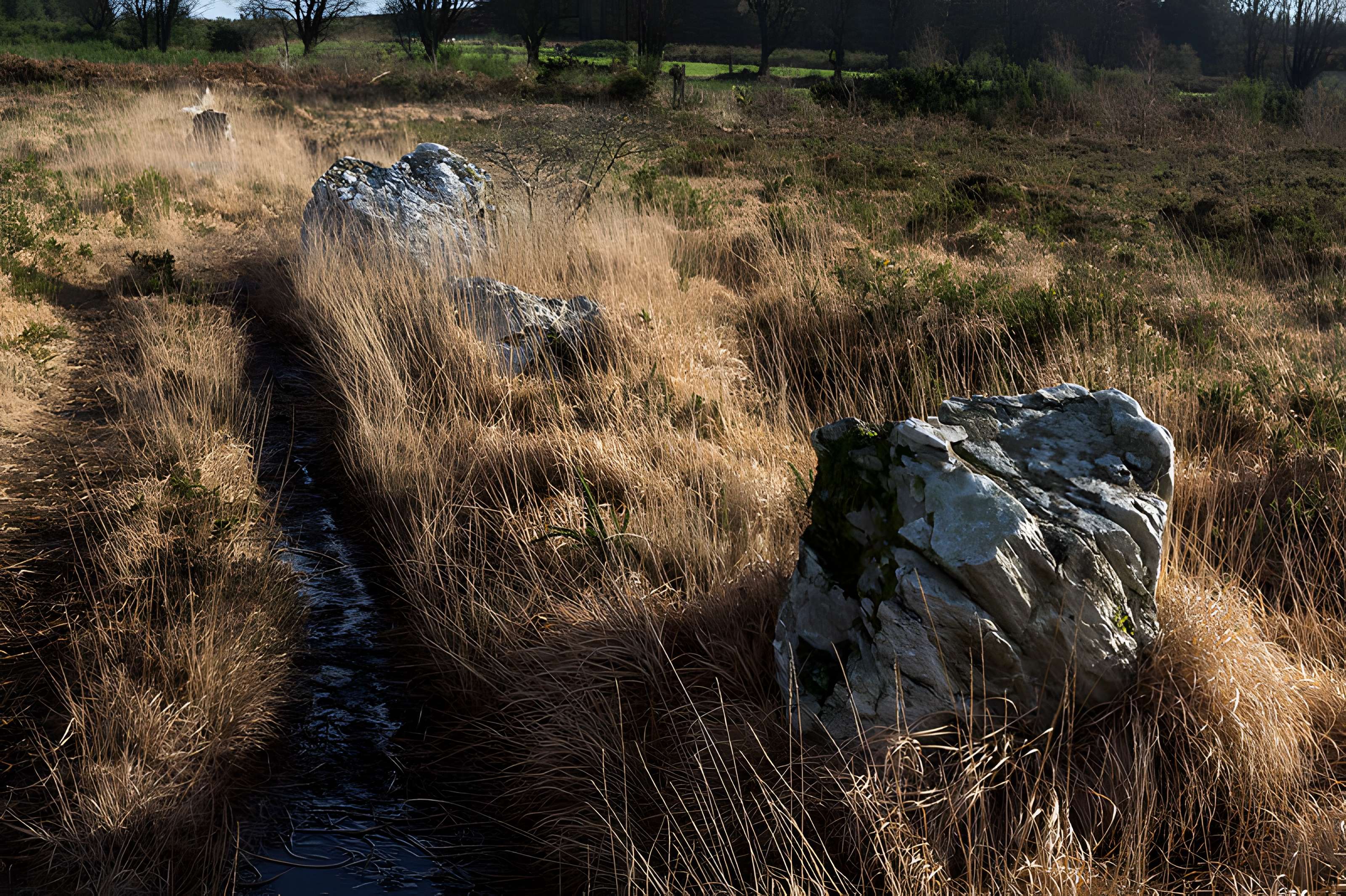 Alignements d'An Eured Veign
