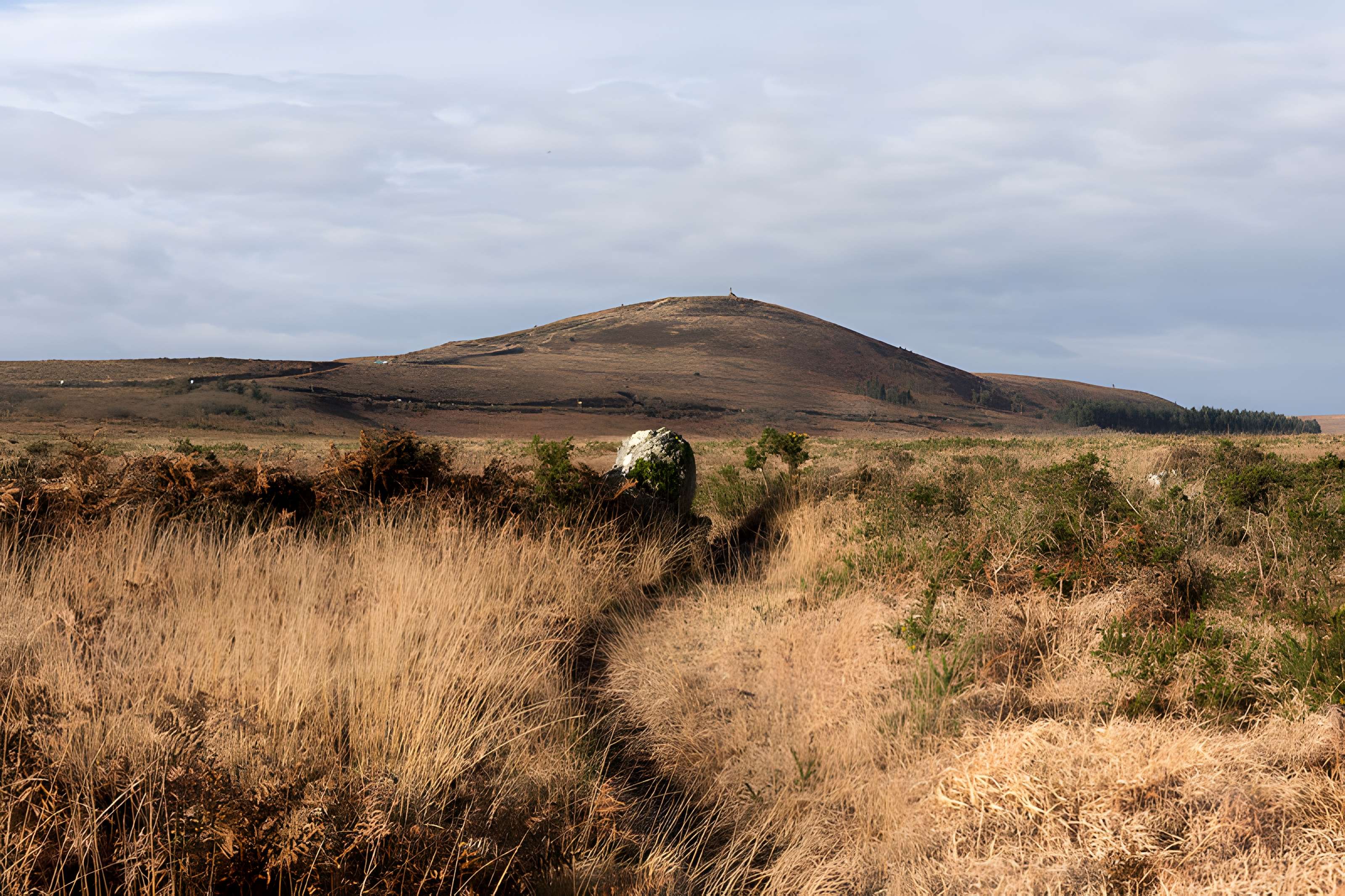 Alignements d'An Eured Veign