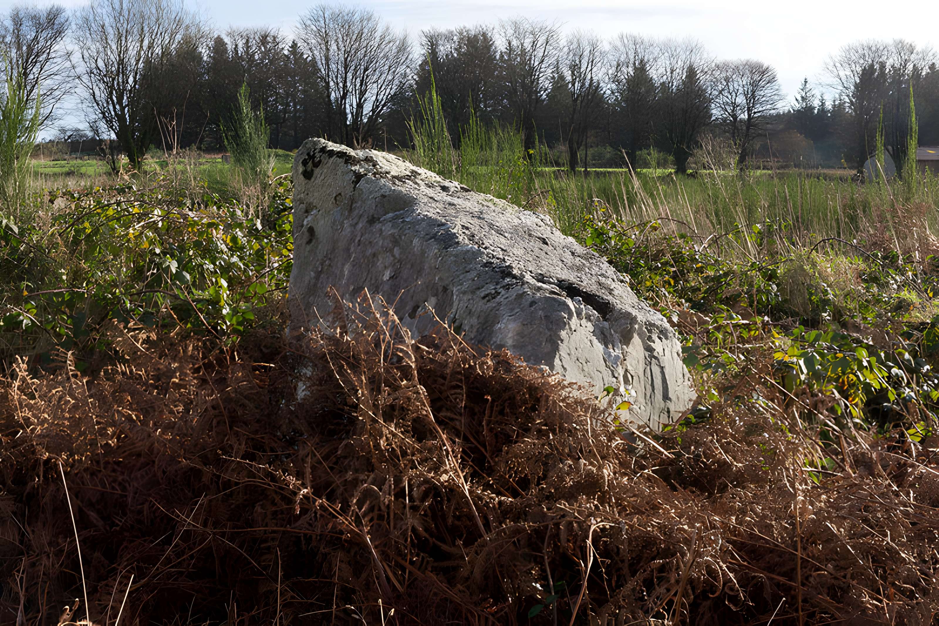 Alignements d'An Eured Veign