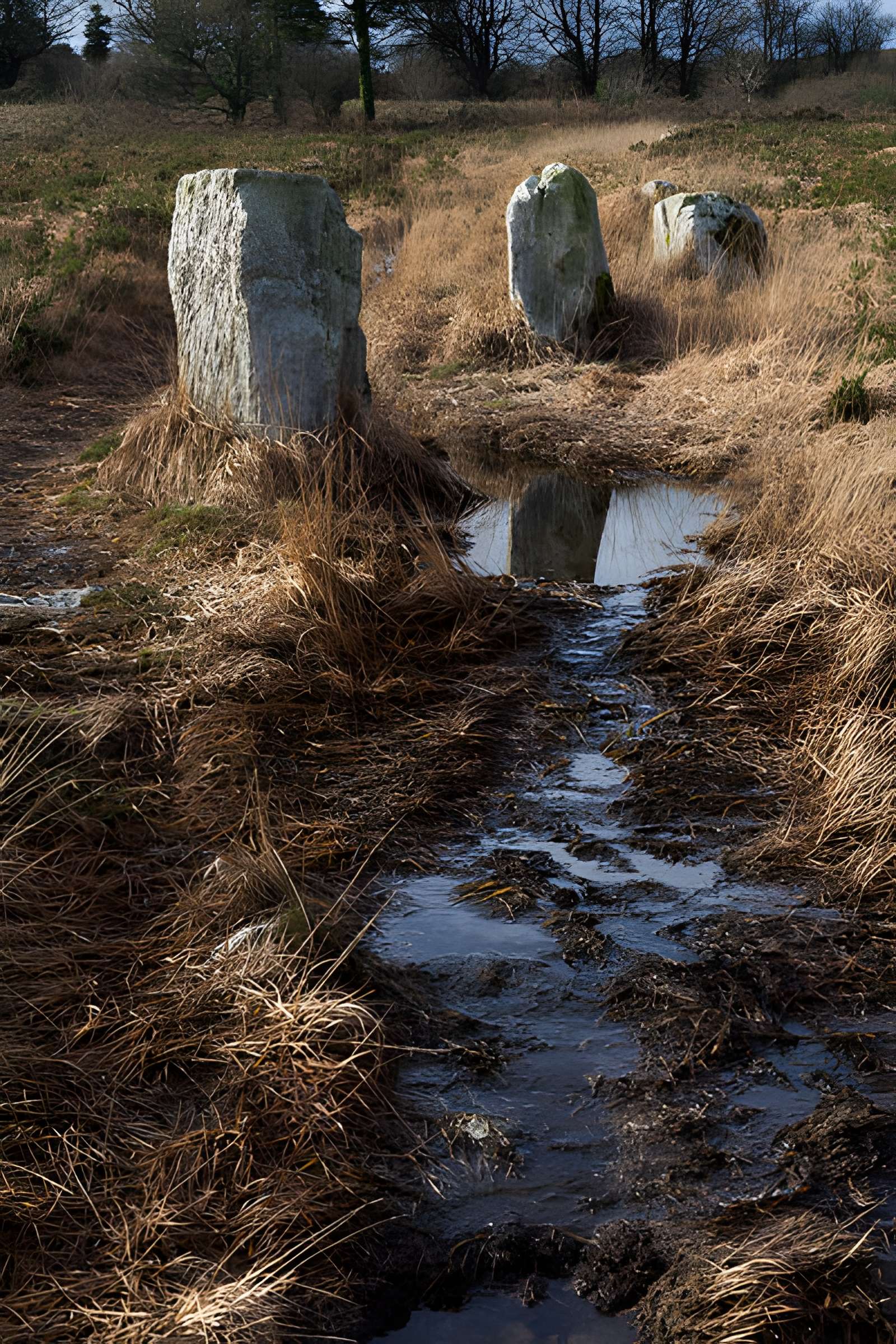 Alignements d'An Eured Veign