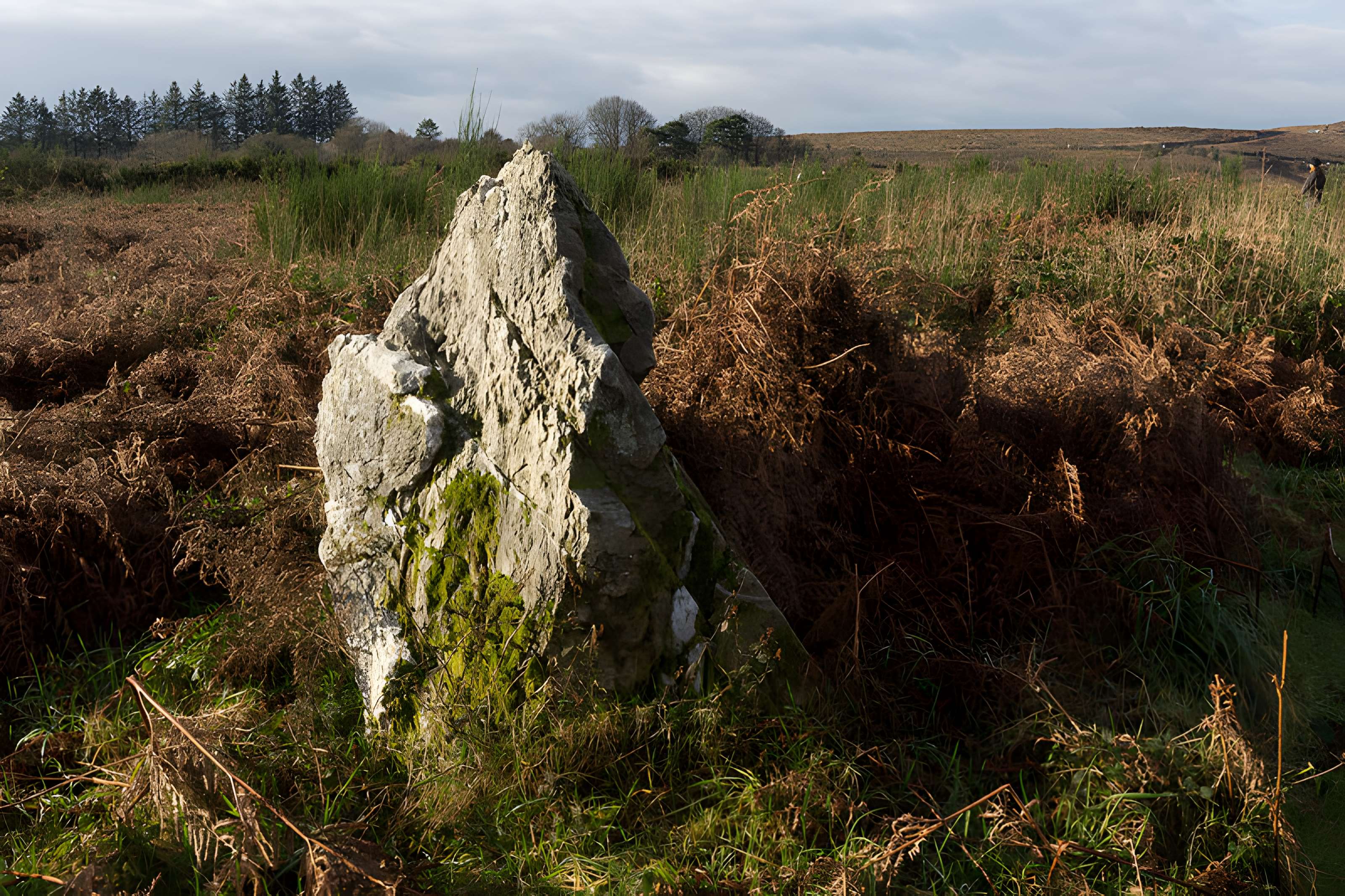 Alignements d'An Eured Veign