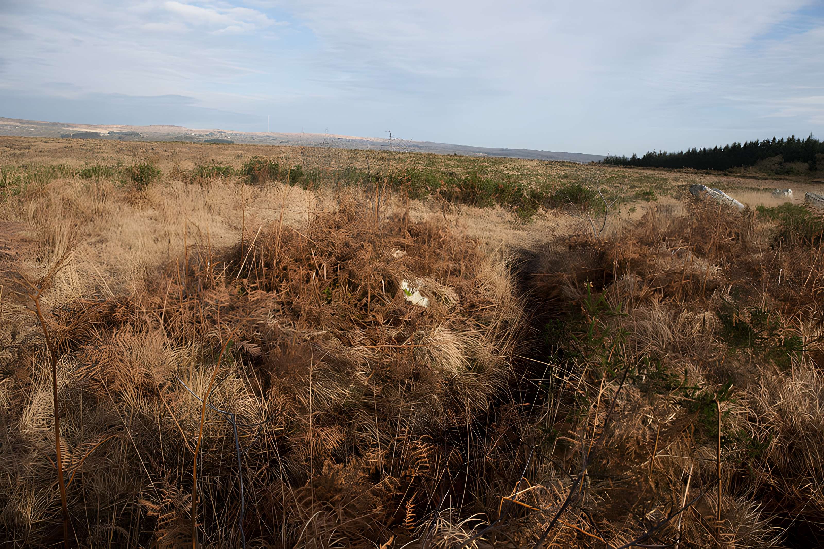 Alignements d'An Eured Veign