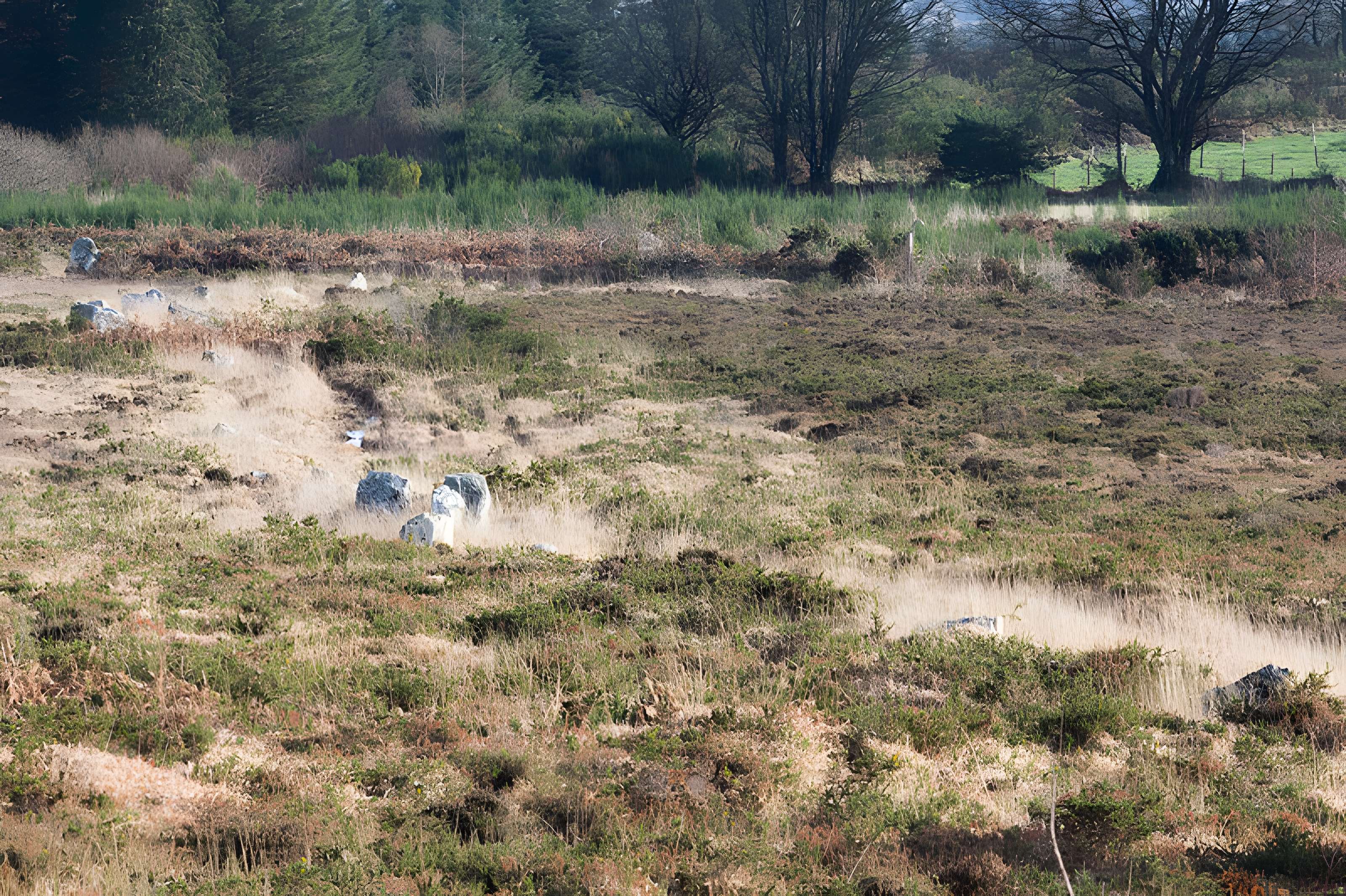 Alignements d'An Eured Veign