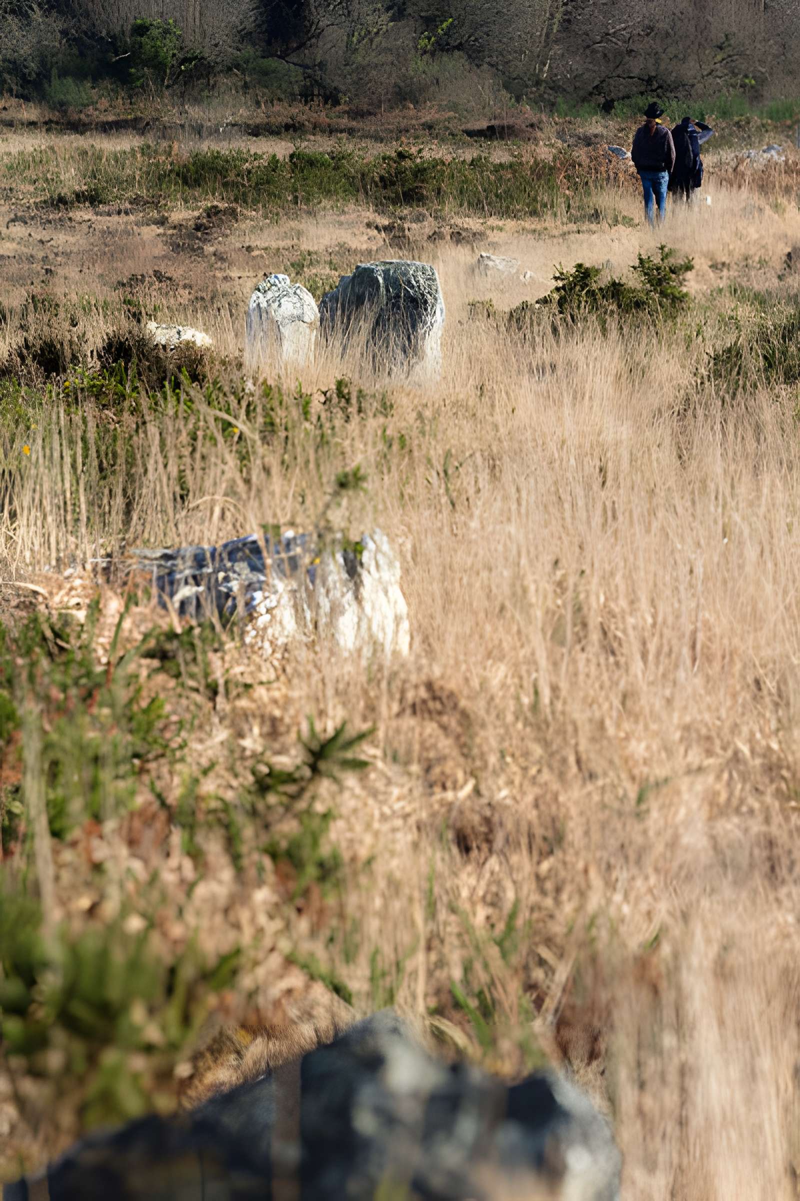 Alignements d'An Eured Veign