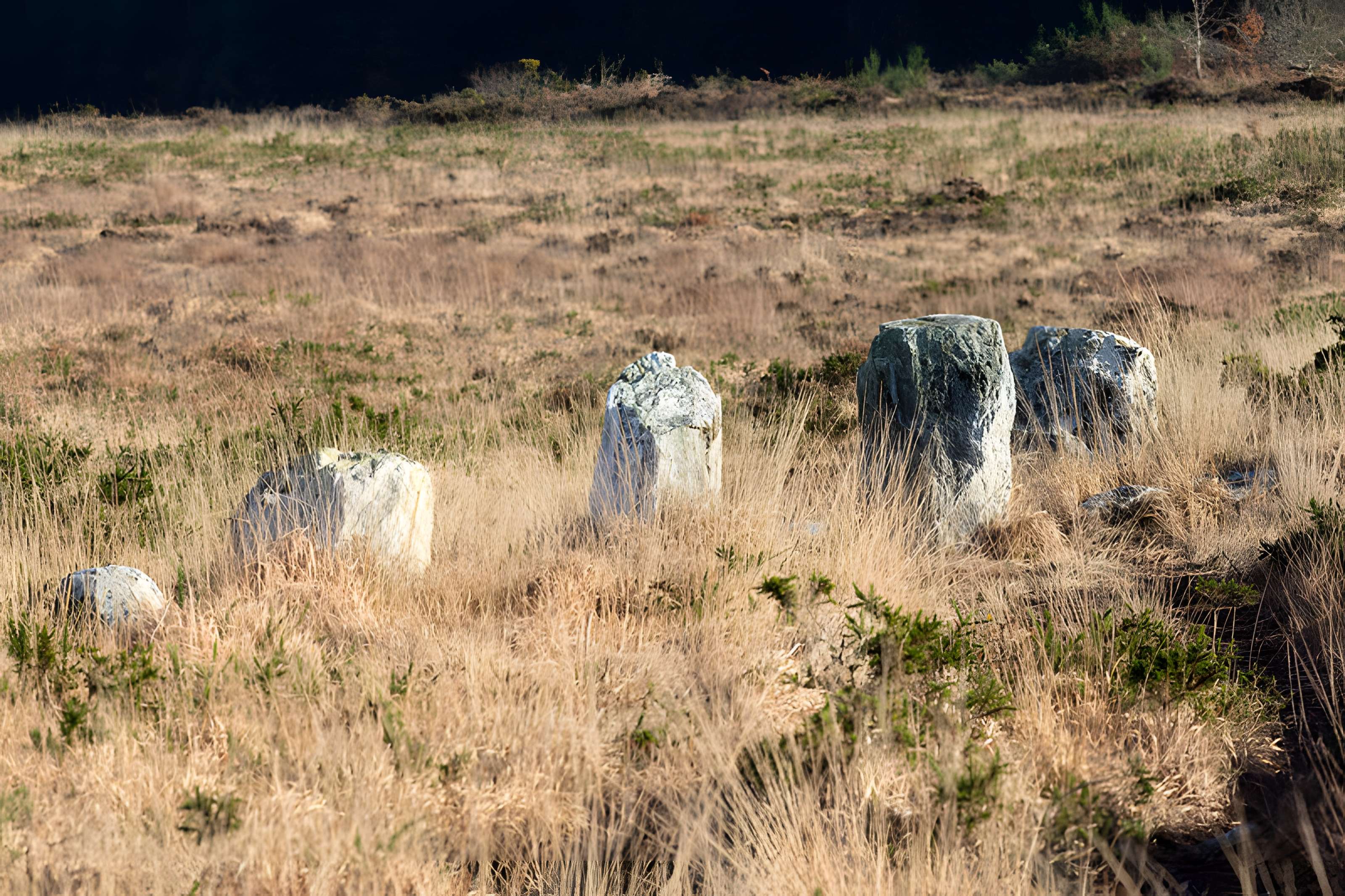 Alignements d'An Eured Veign