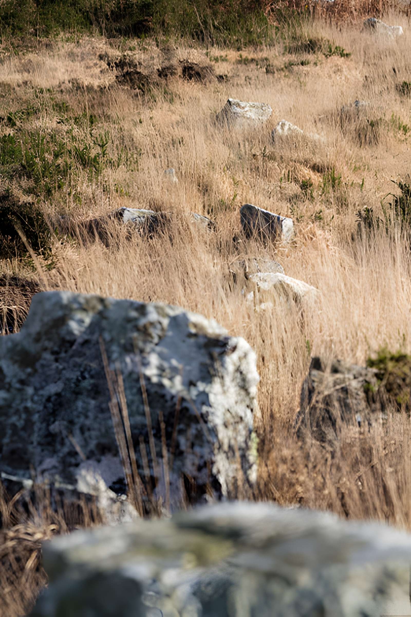 Alignements d'An Eured Veign