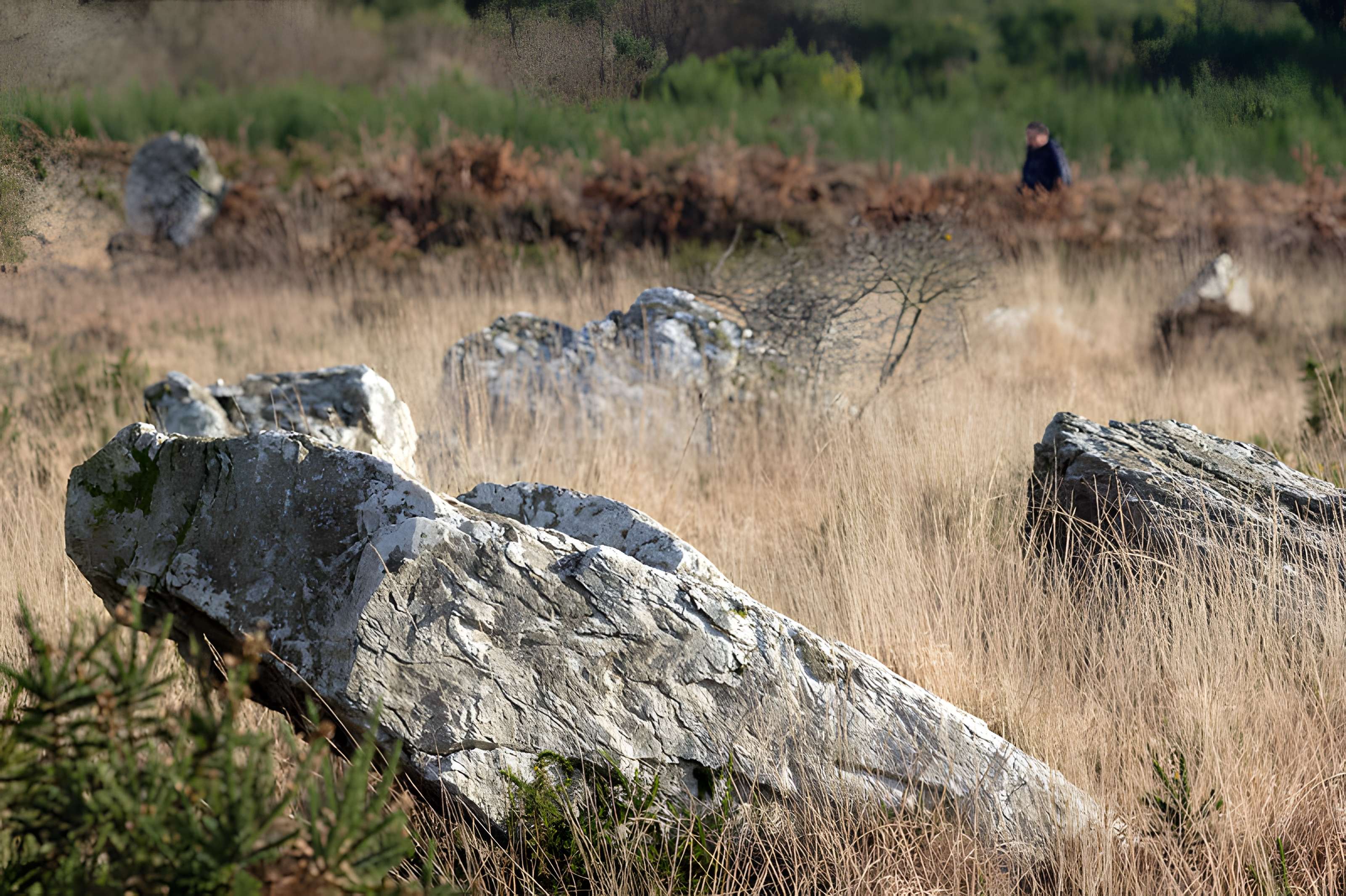 Alignements d'An Eured Veign