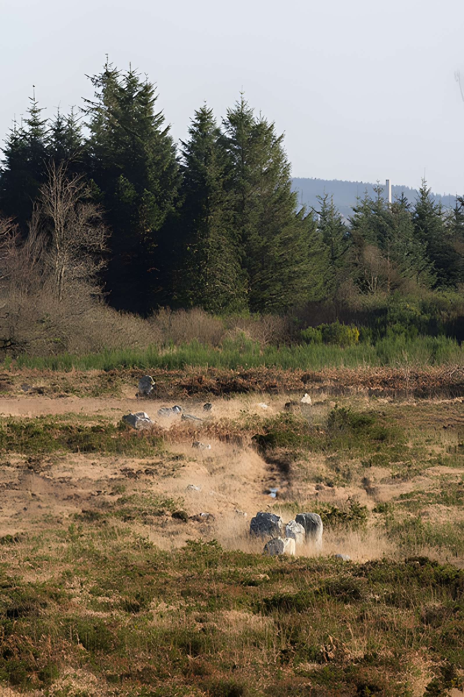 Alignements d'An Eured Veign