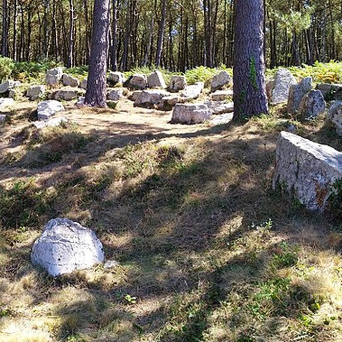 Photo de Alignements de Ty-ar-Churé, ou maison du Curé, Kercolleoch