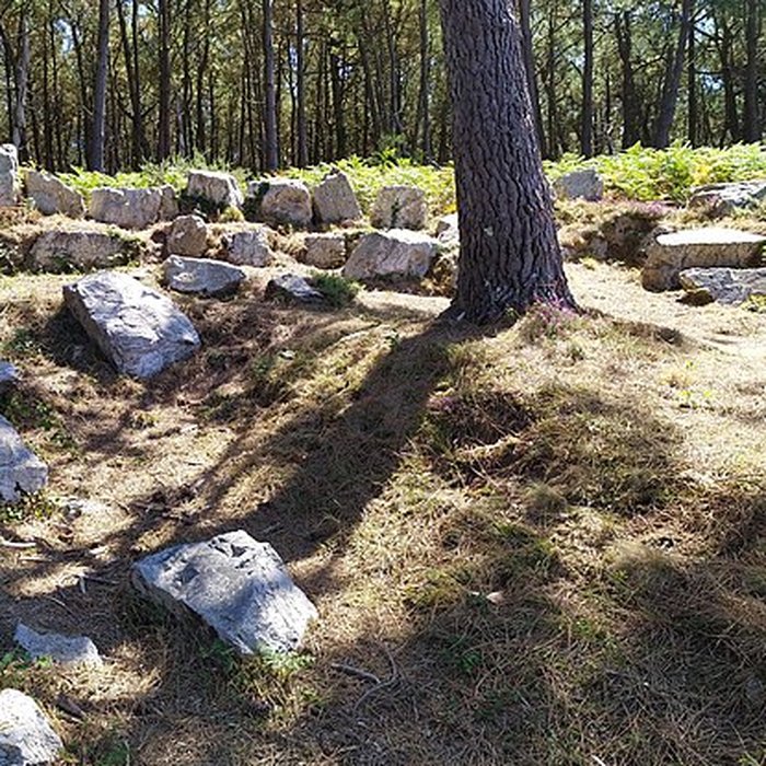 Photo de Alignements de Ty-ar-Churé, ou maison du Curé, Kercolleoch