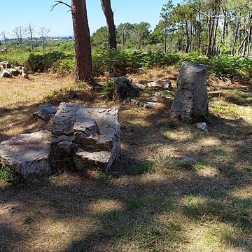 Alignements de Ty-ar-Churé, ou maison du Curé, Kercolleoch