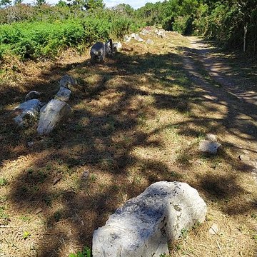 Alignements de Ty-ar-Churé, ou maison du Curé, Kercolleoch