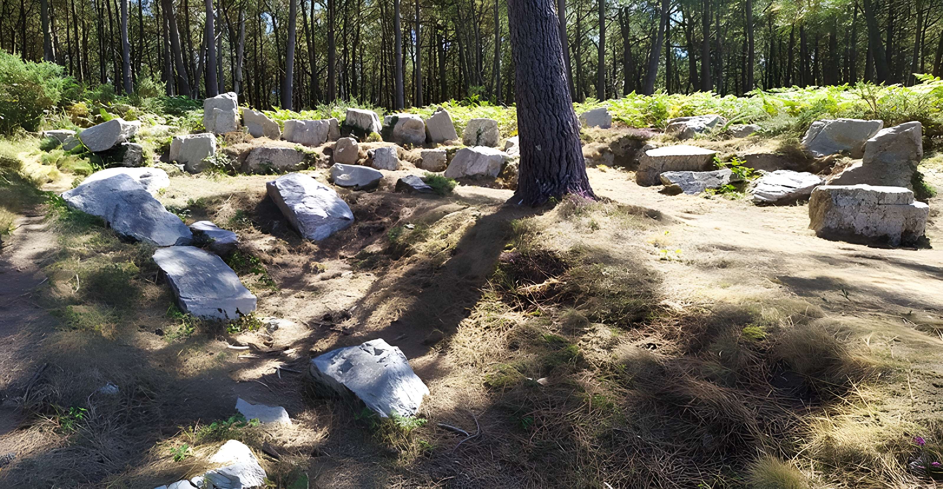 Alignements de Ty-ar-C'huré, ou maison du Curé, Kercolleoc'h