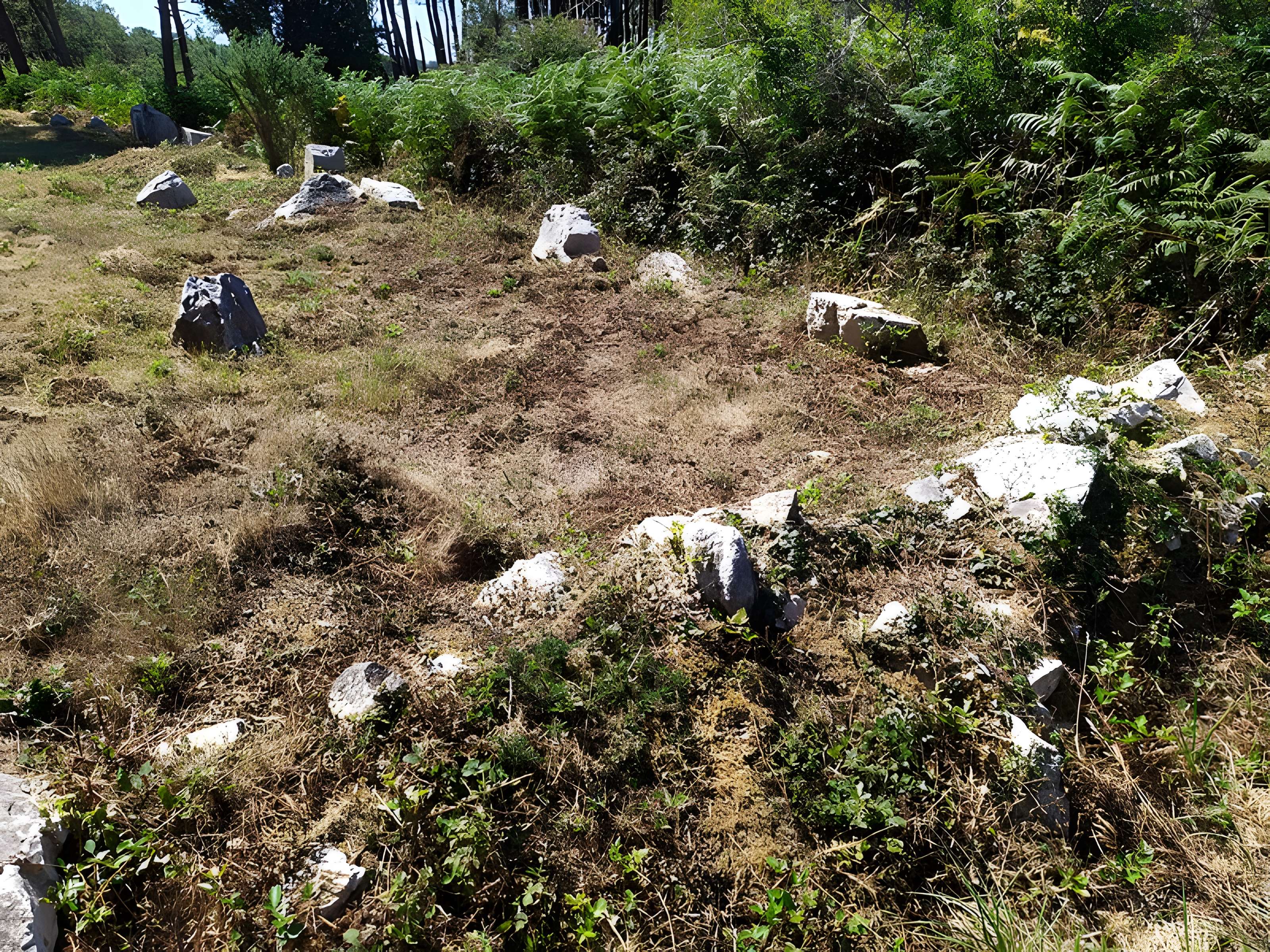 Alignements de Ty-ar-C'huré, ou maison du Curé, Kercolleoc'h