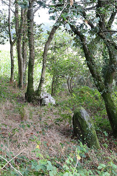 Photo de Cairn mégalithique avec dolmens
