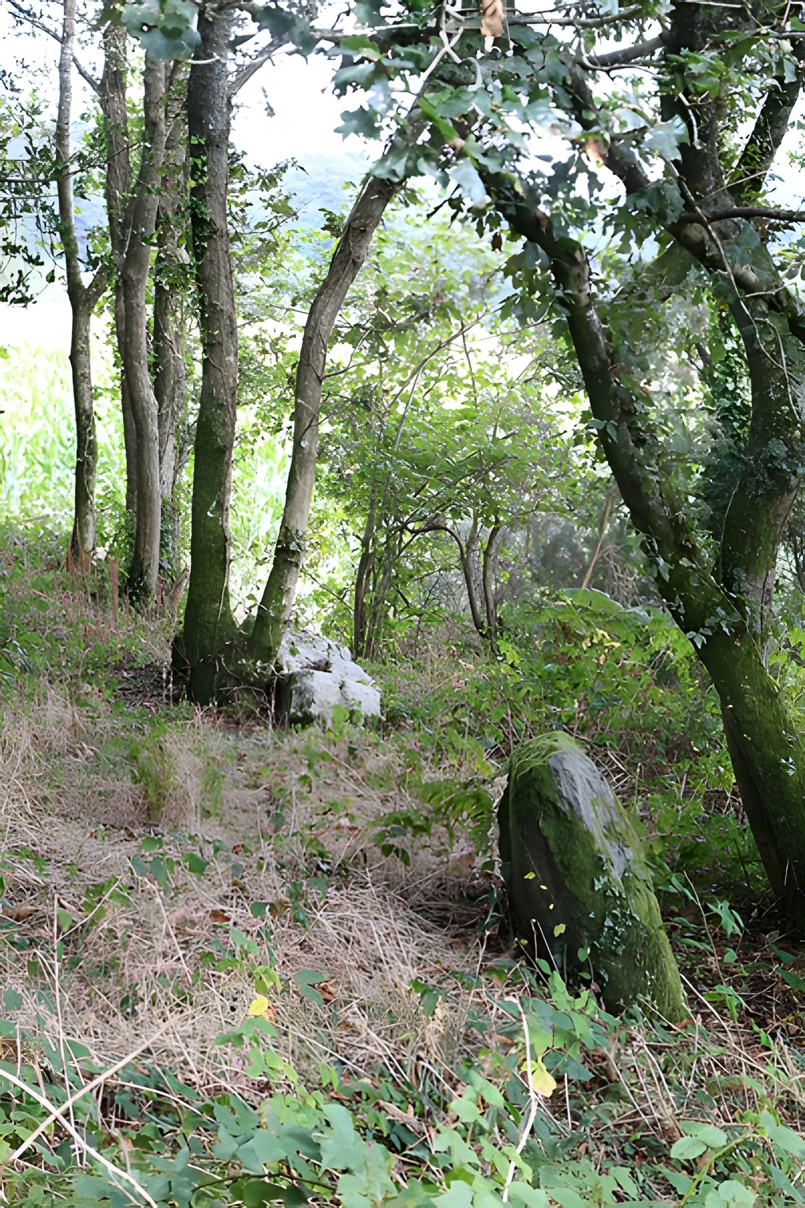 Cairn mégalithique avec dolmens