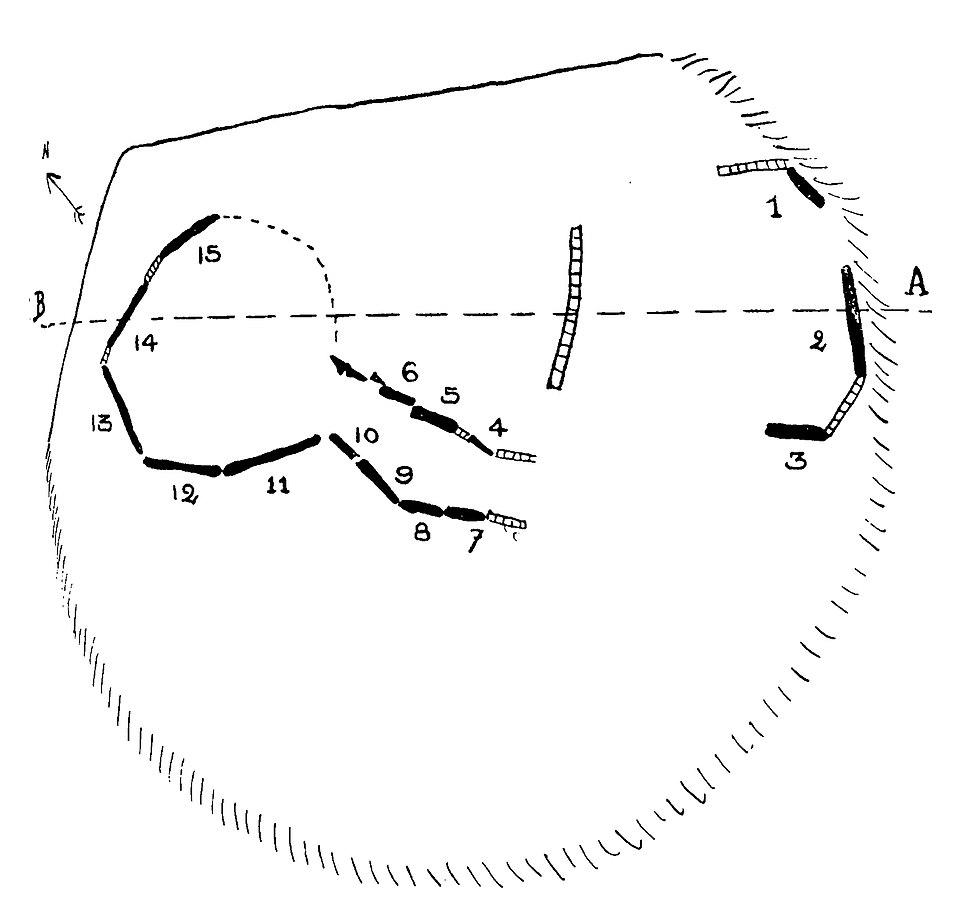 Photo de Dolmen avec cairn de l'île Brunec