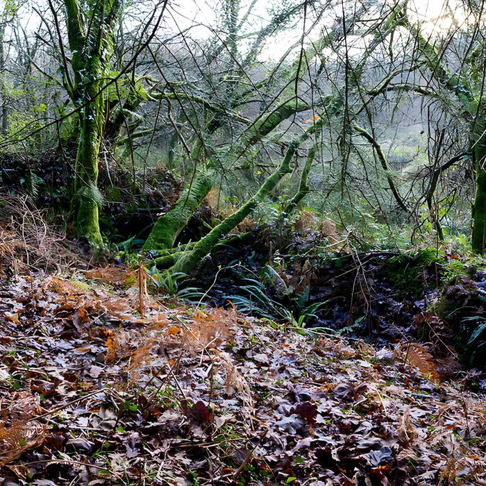 Photo de Village déserté fortifié de Goarem-ar-Manech