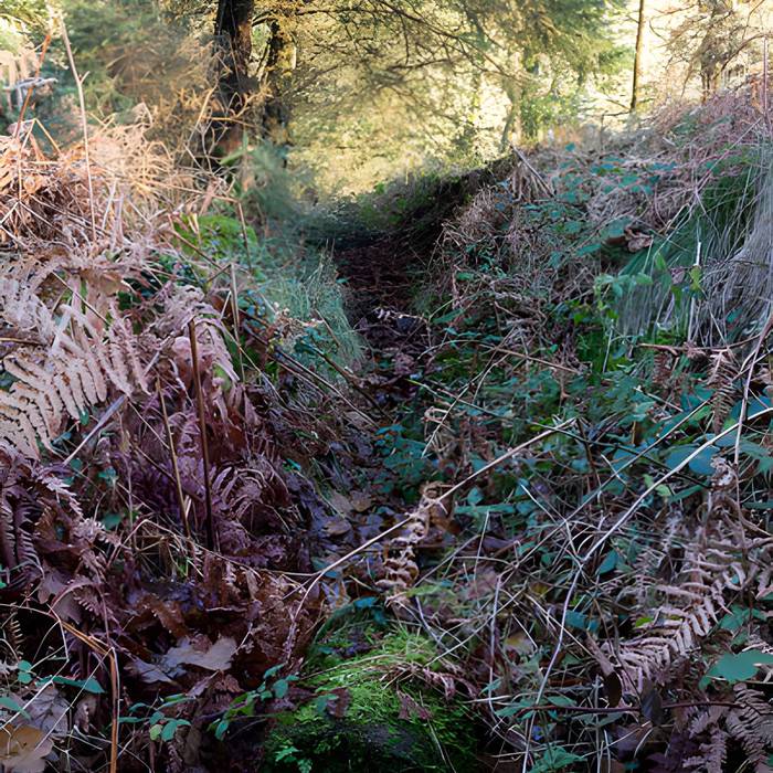 Photo de Village déserté fortifié de Goarem-ar-Manech