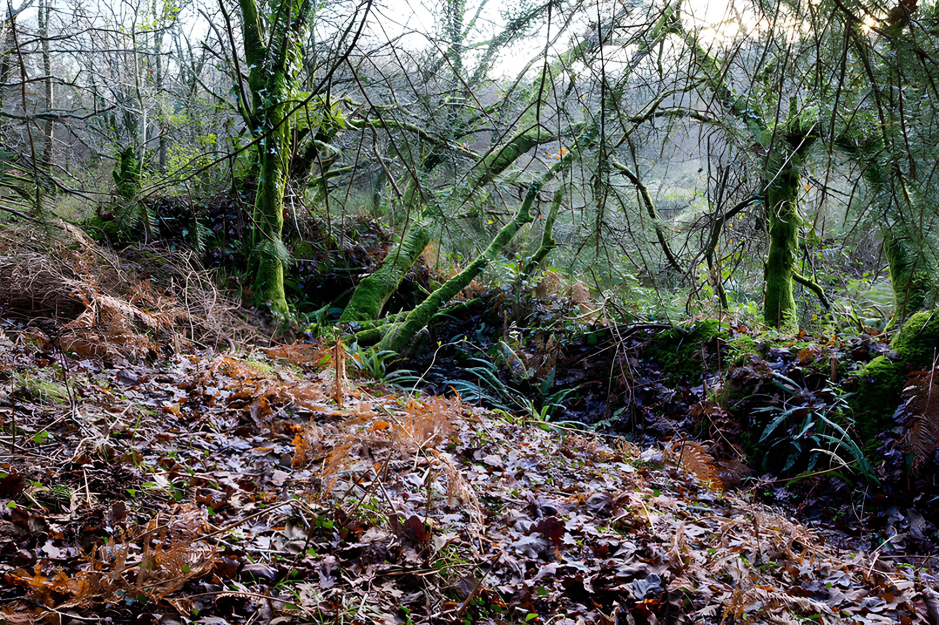 Village déserté fortifié de Goarem-ar-Manec'h