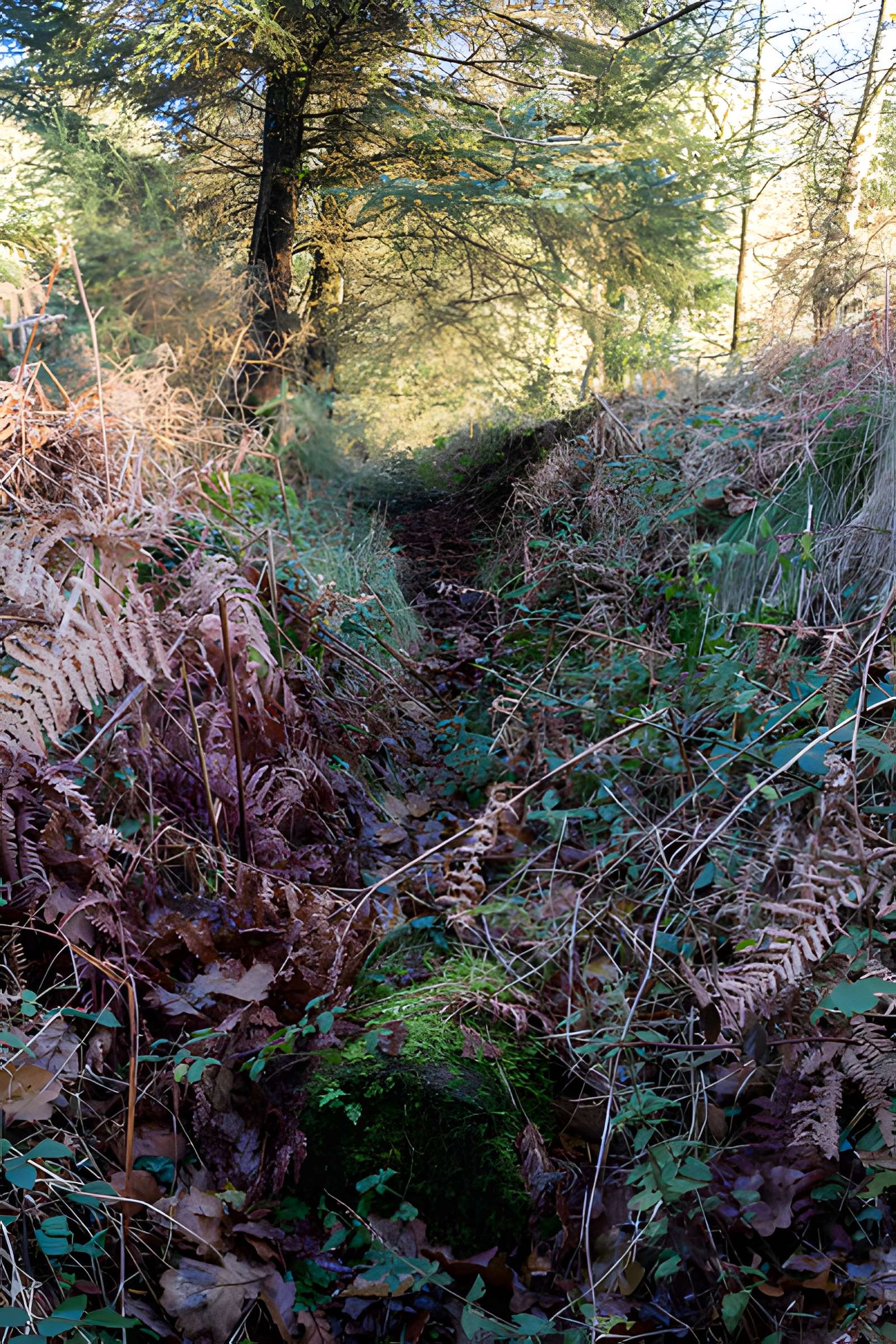 Village déserté fortifié de Goarem-ar-Manec'h