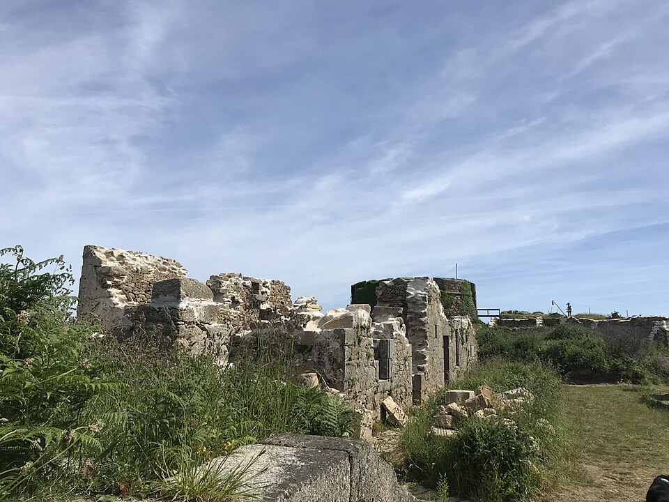 Île de Cézon et son fort