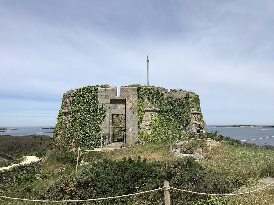 Île de Cézon et son fort