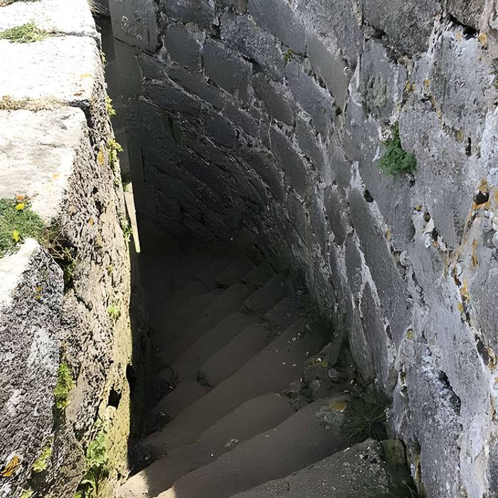 Photo de Île de Cézon et son fort