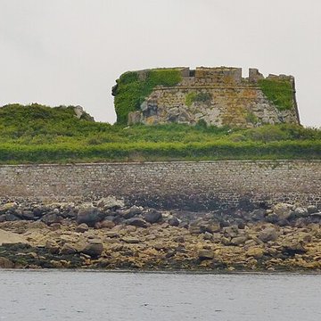 Île de Cézon et son fort