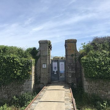 Île de Cézon et son fort