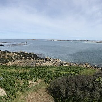 Île de Cézon et son fort
