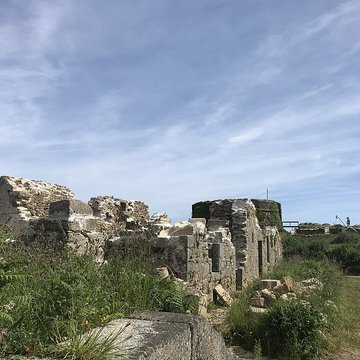 Île de Cézon et son fort