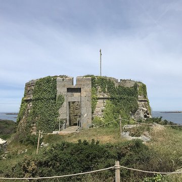 Île de Cézon et son fort