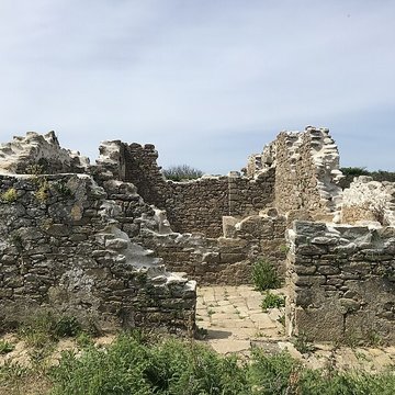 Île de Cézon et son fort