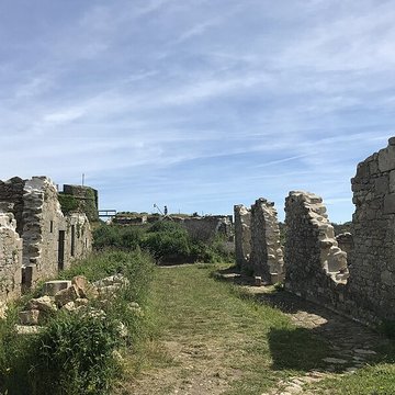 Île de Cézon et son fort