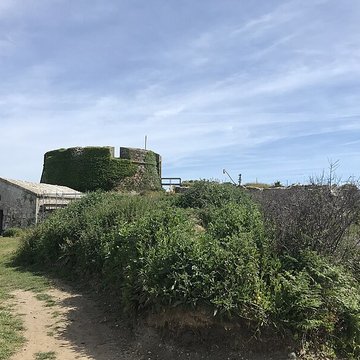 Île de Cézon et son fort