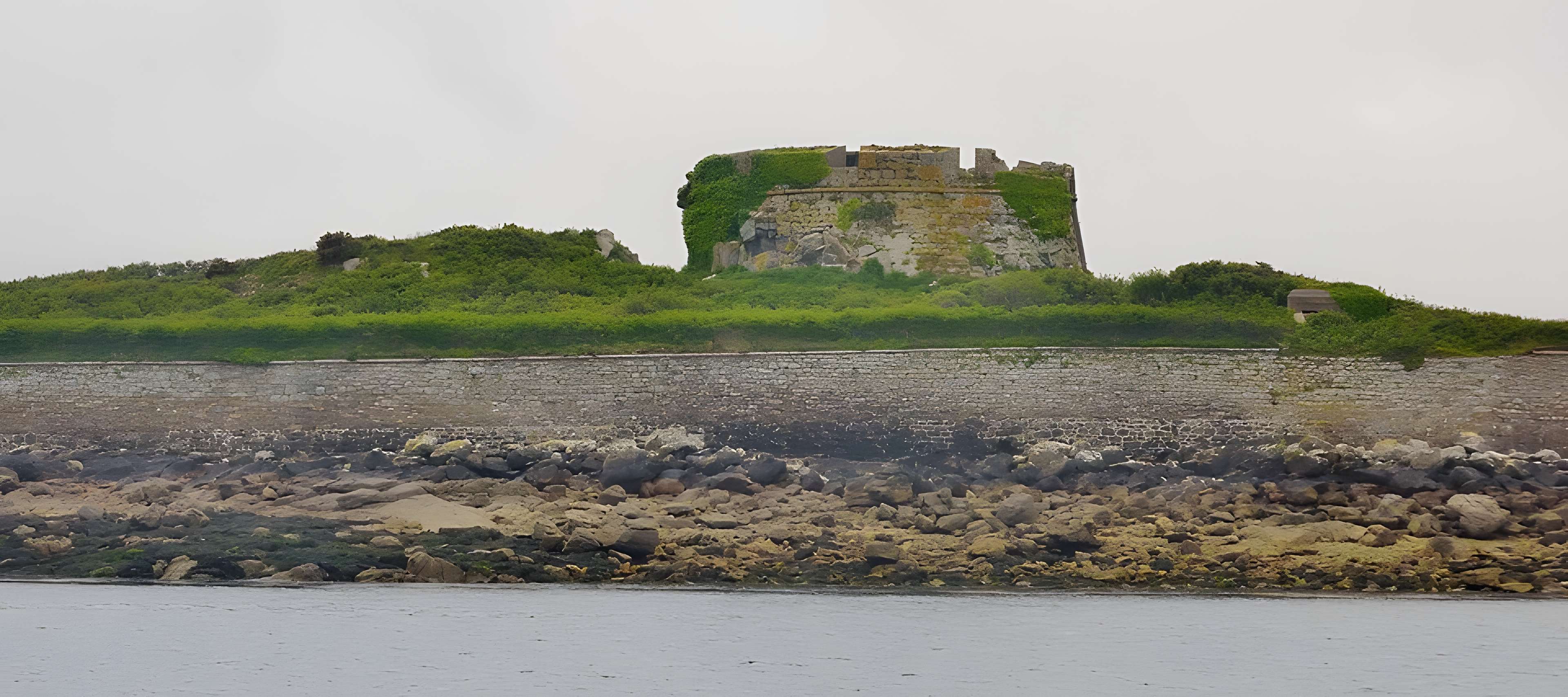 Île de Cézon et son fort