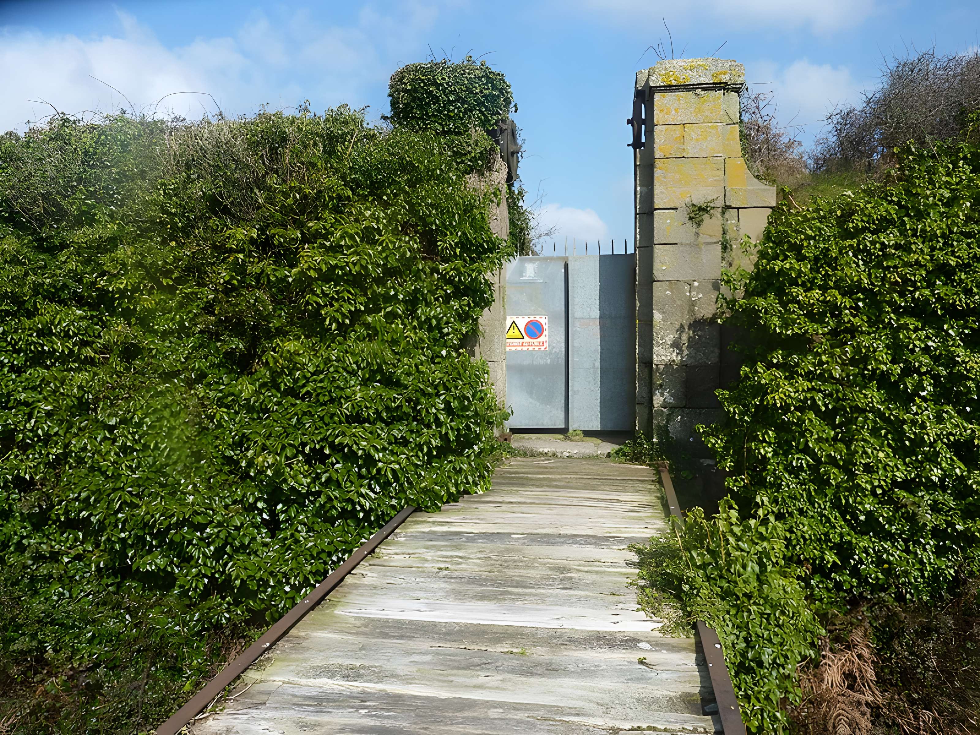 Île de Cézon et son fort
