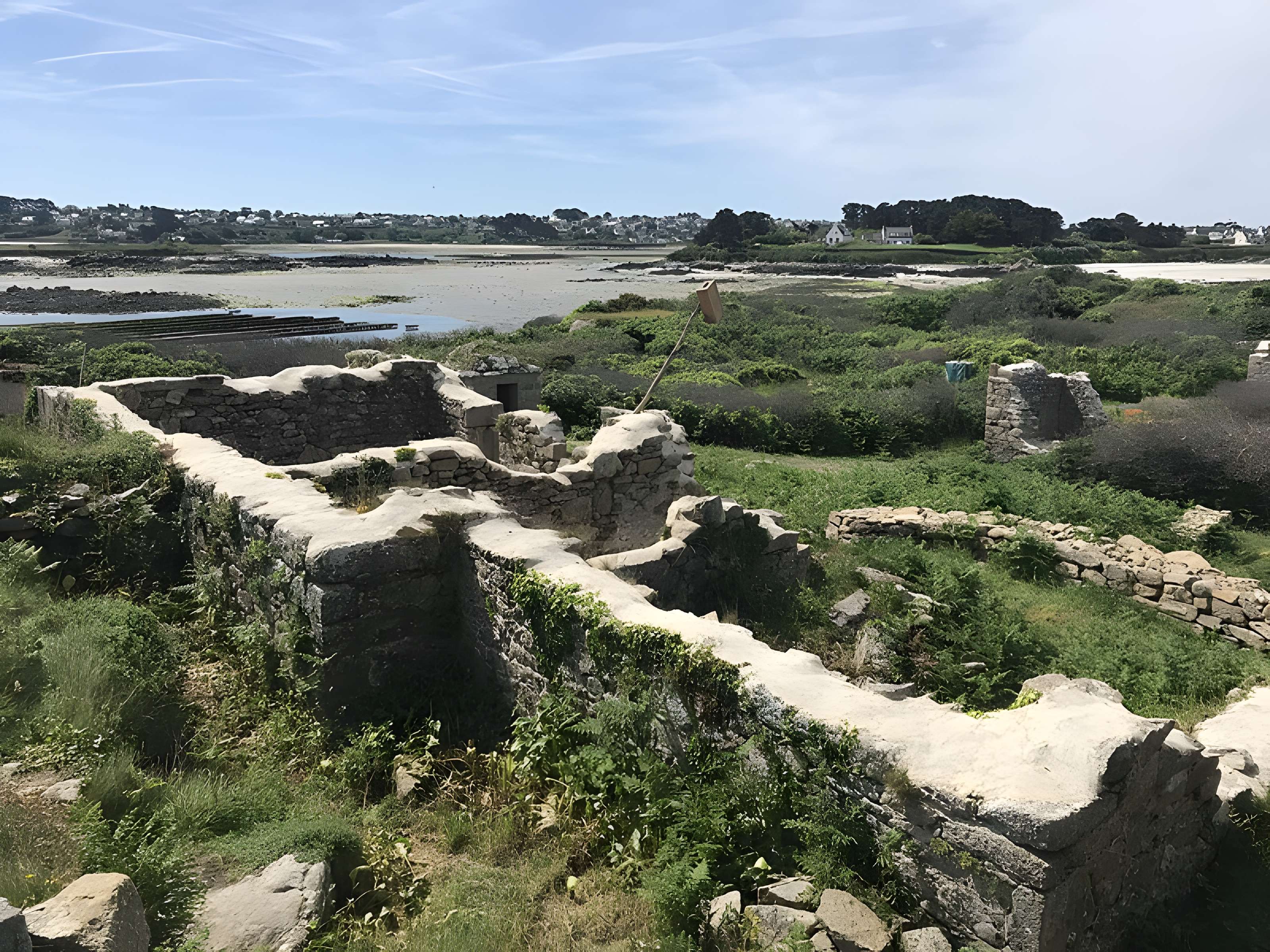 Île de Cézon et son fort