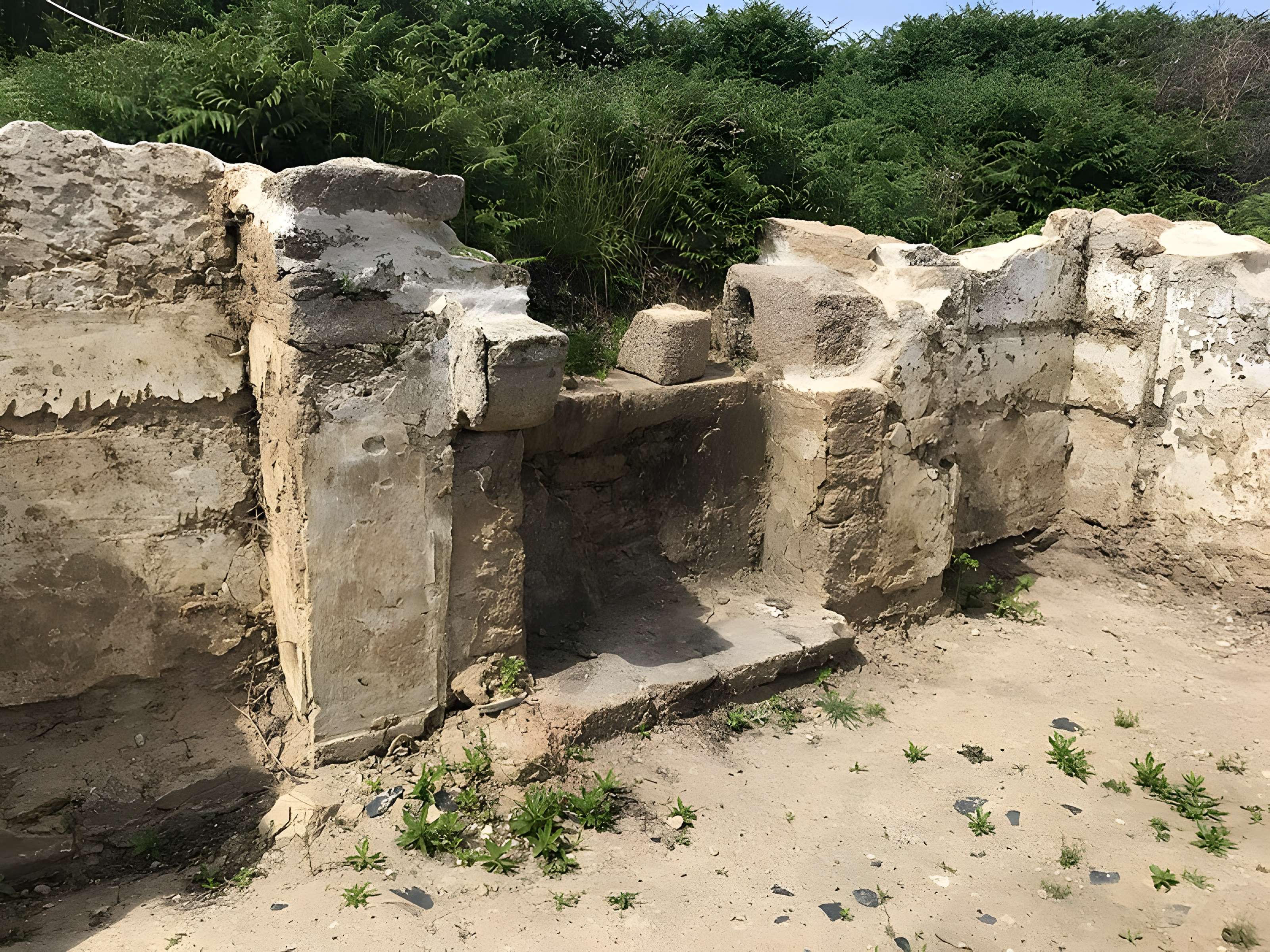 Île de Cézon et son fort