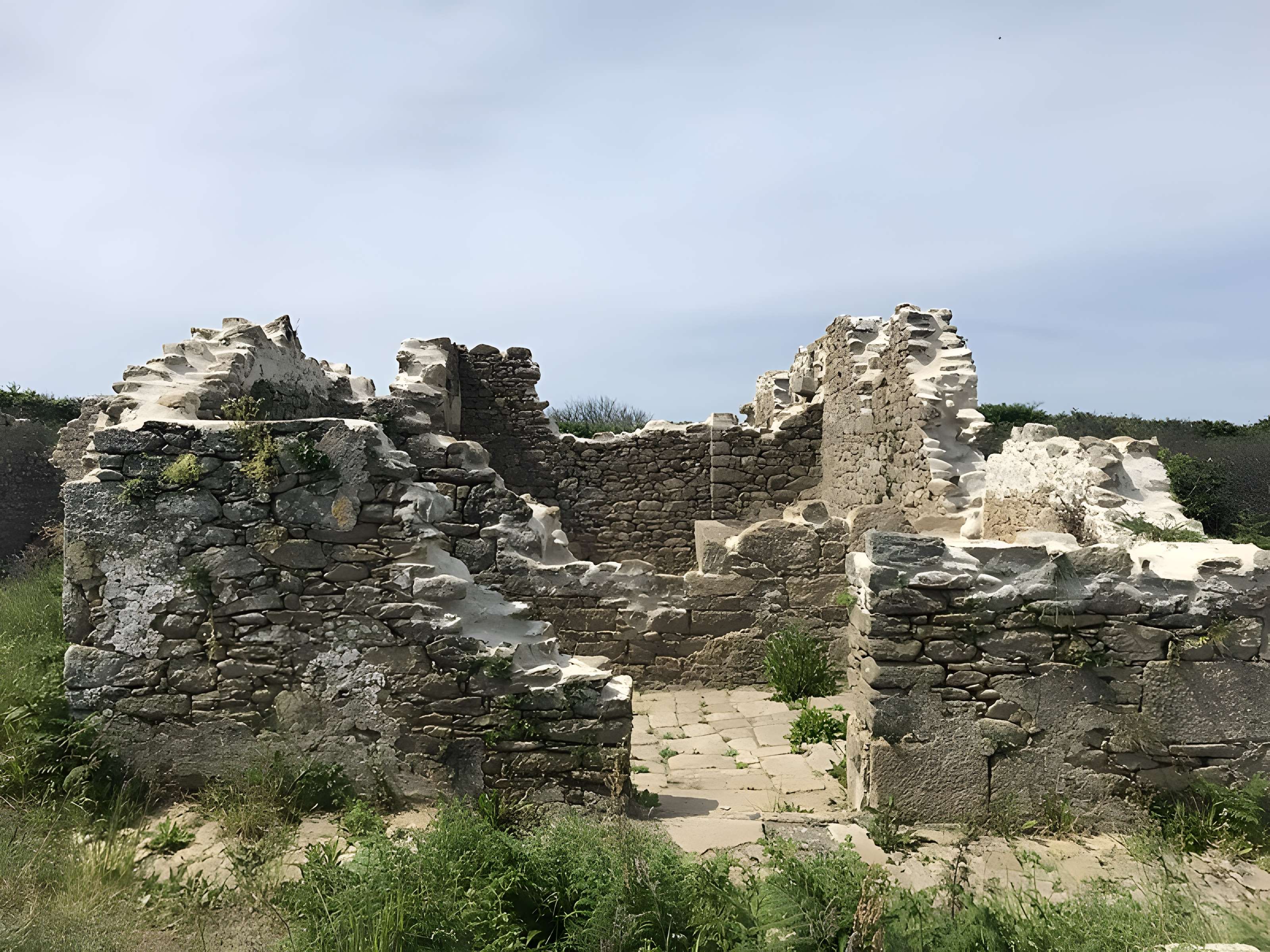 Île de Cézon et son fort