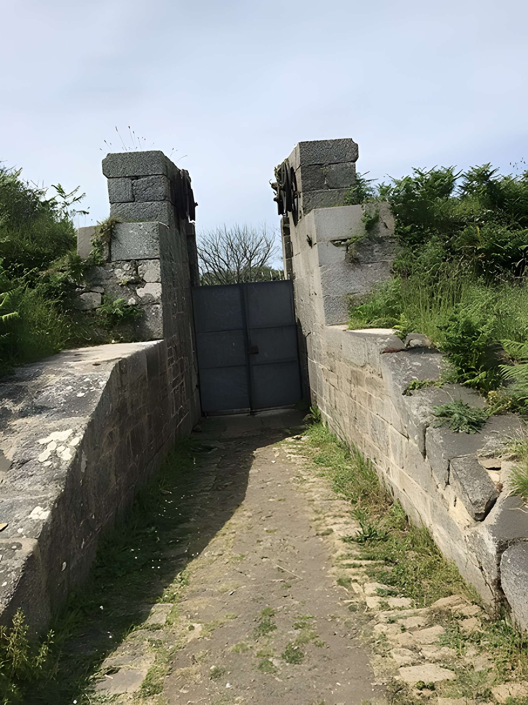 Île de Cézon et son fort