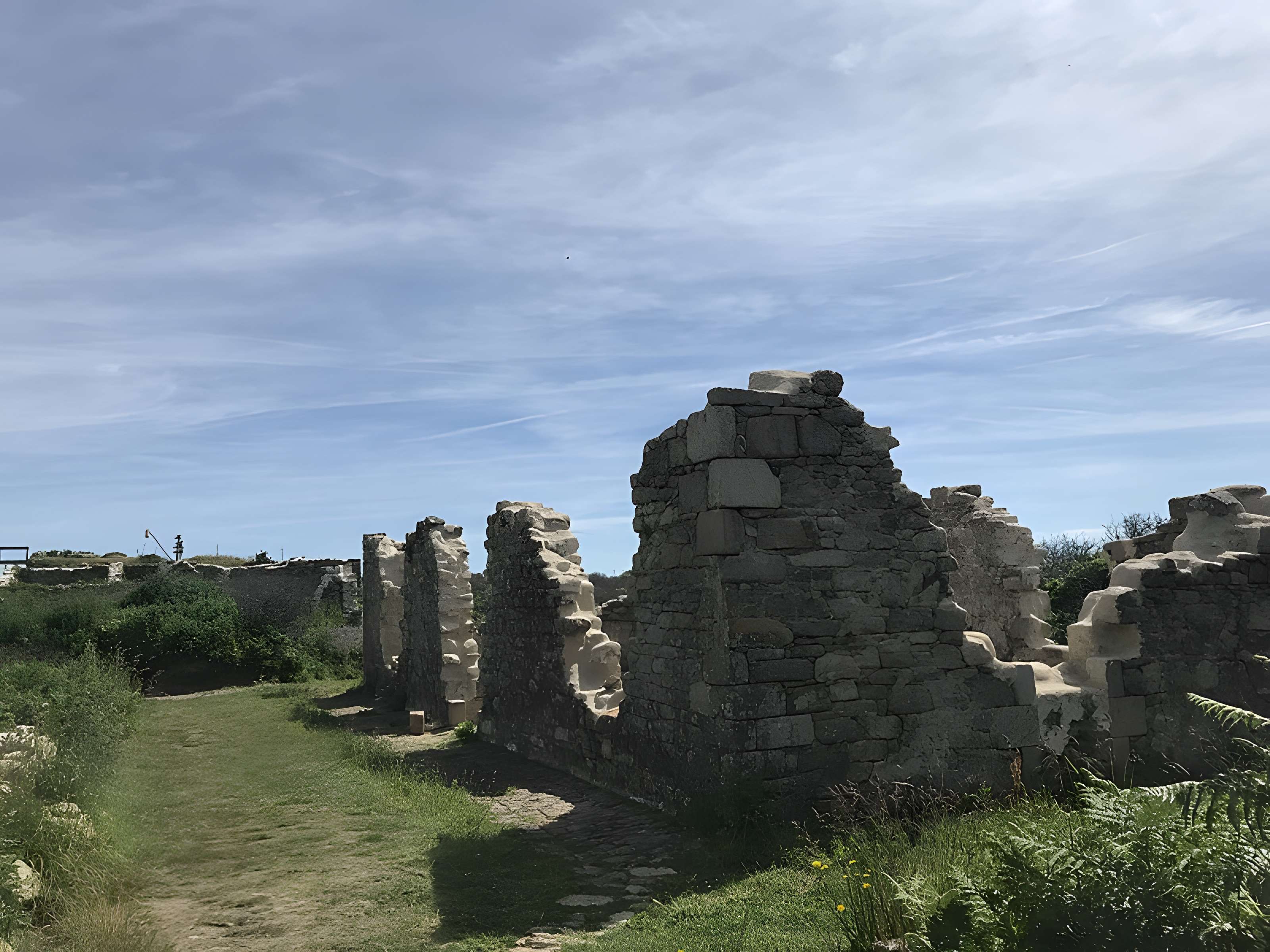 Île de Cézon et son fort
