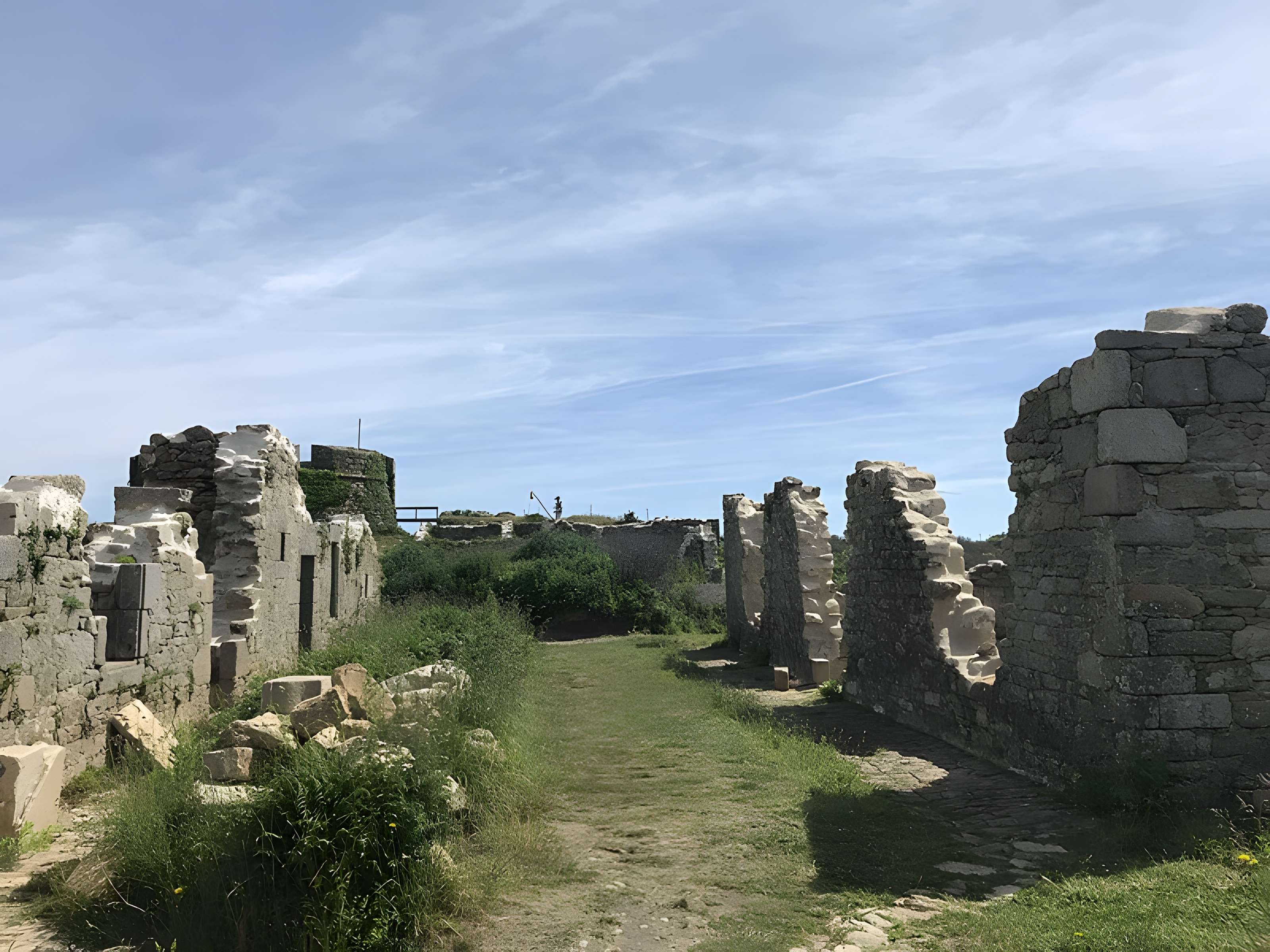 Île de Cézon et son fort