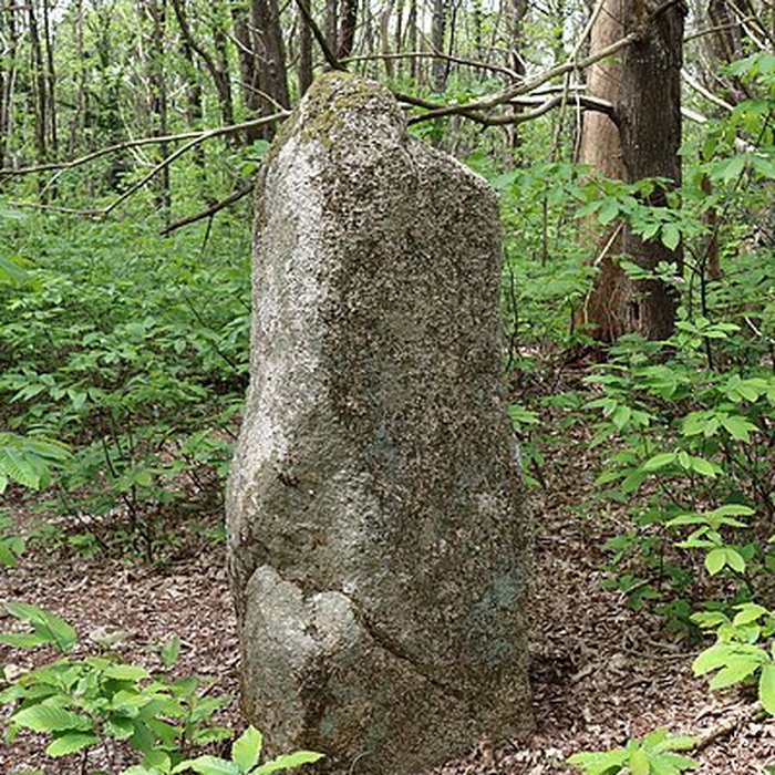 Photo de Menhir