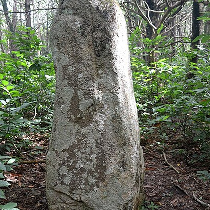 Photo de Menhir